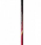Yonex  Nanoray 10F Black Red